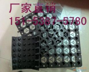 臨滄屋面種植隔根板與迪慶園林綠化排水板 綠色建筑的關鍵支撐